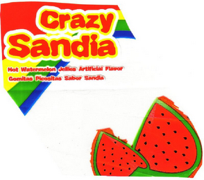 CRAZY SANDIA logo