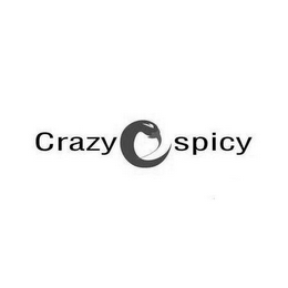 CRAZY SPICY logo