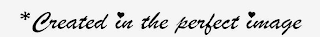 * CREATED IN THE PERFECT IMAGE logo