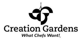 CREATION GARDENS WHAT CHEFS WANT! logo