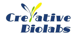 CREATIVE BIOLABS