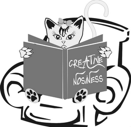 CREATIVE NOSINESS logo