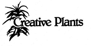 CREATIVE PLANTS logo