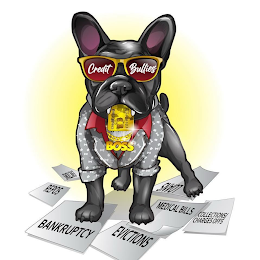 CREDIT BULLIES CREDIT CARD 4374 4374 4374 BOSS EVICTIONS REPOS BANKRUPTCY EVICTIONS MEDICAL BILLS COLLECTIONS/ CHARGE OFFS LOANS logo