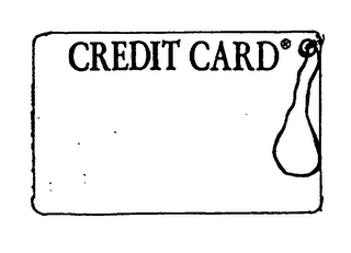 CREDIT CARD logo