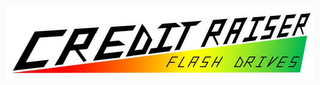 CREDIT RAISER FLASH DRIVES logo