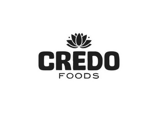 CREDO FOODS logo