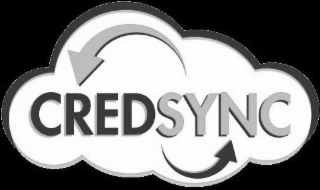 CREDSYNC logo