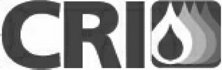 CRI logo