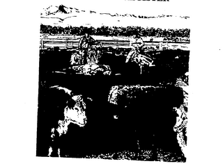CRICERAM C logo