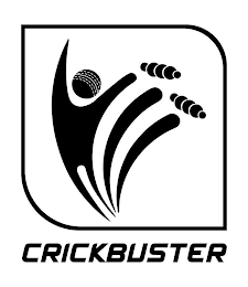 CRICKBUSTER logo