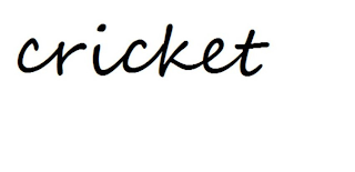 CRICKET logo