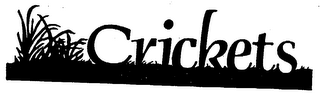 CRICKETS logo