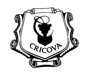 CRICOVA