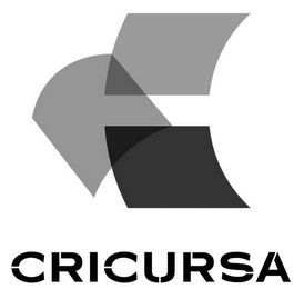 CRICURSA logo