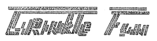 CRINKLE FUN logo