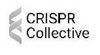 CRISPR COLLECTIVE CC logo