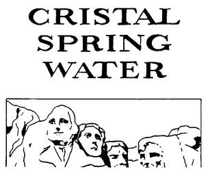 CRISTAL SPRING WATER PURE BLACK HILLS MINERAL WATER logo