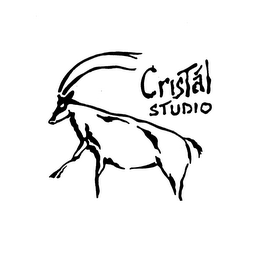 CRISTAL STUDIO logo