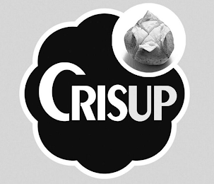 CRISUP logo