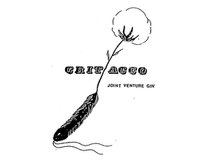 CRIT ACCO JOINT VENTURE GIN logo