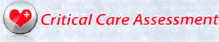 CRITICAL CARE ASSESSMENT logo