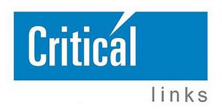 CRITICAL LINKS logo