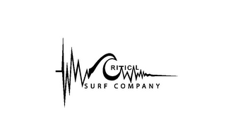 CRITICAL SURF COMPANY logo