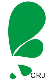 CRJ logo