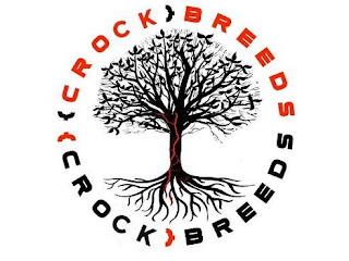 {CROCK}BREEDS {CROCK}BREEDS logo
