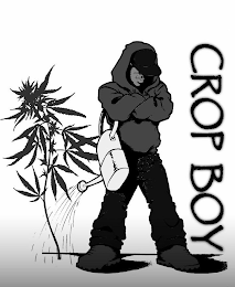 CROP BOY logo
