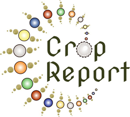 CROP REPORT logo