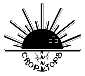 CROP TOPS logo