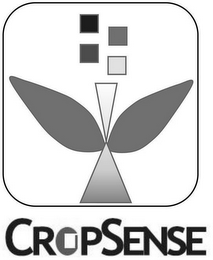 CROPSENSE logo