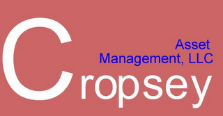 CROPSEY ASSET MANAGEMENT, LLC logo