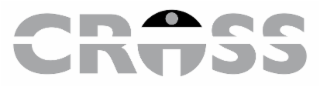 CROSS IT logo