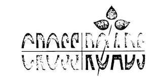 CROSSROADS logo