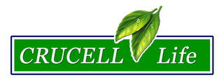 CRUCELL LIFE logo