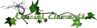 CRUCIAL ELEMENTS logo