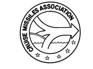 CRUISE MISSILES ASSOCIATION logo