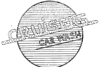 CRUISERS CAR WASH logo