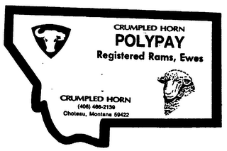 CRUMPED HORNE POLYPAY REGISTERED RAMS, EWES logo