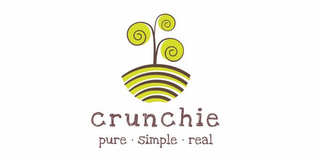 CRUNCHIE PURE SIMPLE REAL logo