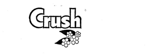 CRUSH logo