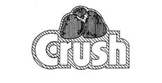 CRUSH logo