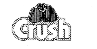 CRUSH logo