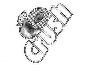 CRUSH logo
