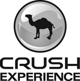 CRUSH EXPERIENCE logo