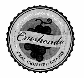CRUSHENDO INCREASED FLAVOUR INTENSITY REAL CRUSHED GRAPES
