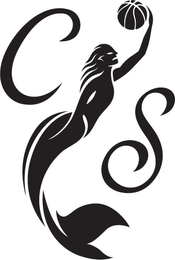 CS logo